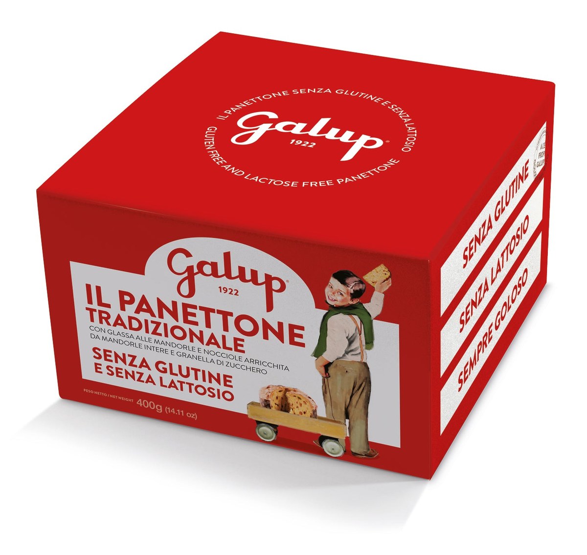 Galup - Panettone Gran Galup Tradizionale Senza Glutine e Senza Lattosio